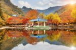 Naejangsan,korea - November 1: Tourists Taking Photos Of The Beautiful Scenery Around Naejangsan Park,south Korea During Autumn Season On November 1, 2015 Stock Photo