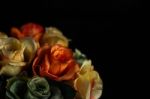 Roses On A Black Background Stock Photo