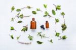 Holy Basil Essential Oil In A Glass Bottle With Fresh Holy Basil Stock Photo