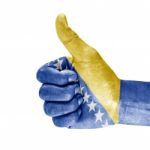 Bosnia Herzegovinai Flag On Hand Stock Photo