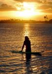 Sunset Surfer Stock Photo