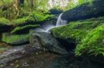 Landscape Of Waterfall In Deep Rain Forest Of Bolaven Plateau, C Stock Photo