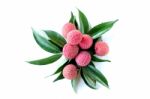 Lychee Stock Photo