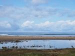 Morro Rock Bay Stock Photo