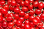 Red Tomatoes Stock Photo