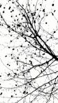 Black And White Tree, Abstract Nature Stock Photo