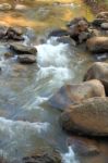 Small Water Flow In Forest Stock Photo