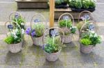 Several Reed Baskets With Flowering Plants On Ground Stock Photo