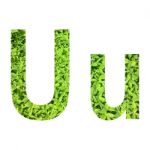 English Alphabet Made From Green Grass On White Background Stock Photo