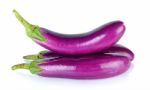 Purple Eggplant Isolated On The White Background Stock Photo