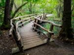 Wooden Bridge In Sheffield Park Gardens Stock Photo