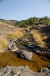 A Stream In Autumn Stock Photo