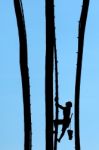 Man Climb Silhouette Stock Photo