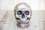 Human Skull On Wood Background Stock Photo