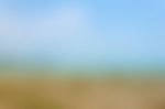 Blur Background Of Beach And Sea For Web Design. Blur Wallpaper Stock Photo