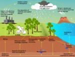 The Sulfur Cycle Stock Photo