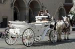 Carriage And Horses In Krakow Stock Photo