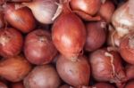 Group Of Onion Closeup Stock Photo