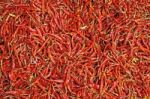 Red Chilli Peppers Stock Photo