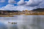 Ducks In The Lake At Zhongshan Lin Temple Stock Photo