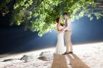 Pre Wedding Outdoor Romantic Stock Photo