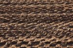 Muddy Tyre Tracks Stock Photo