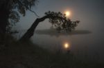 Misty Night Landscape Stock Photo