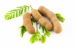 Three Tamarind On Leaf Stock Photo