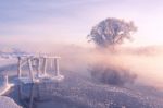 Foggy Winter Sunrise Stock Photo