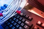 Lan Cable In Network Room Stock Photo