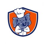 Elephant Chef Arms Crossed Crest Cartoon Stock Photo