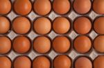 Eggs Stock Photo