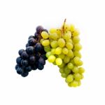 Grapes Stock Photo