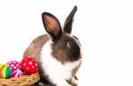 Rabbit And Easter Eggs In Green Grass Stock Photo