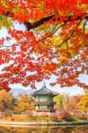 Gyeongbokgung Palace In Autumn,south Korea Stock Photo