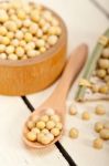 Organic Soya Beans Stock Photo