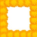 Yellow Flower Frame Stock Photo