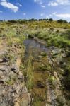 Beautiful Spring View Of A Countryside Stream Of Water Located In Portugal Stock Photo