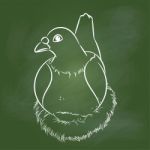 Hand Drawing Pigeon On Green Board - Illustration Stock Photo