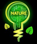 Nature Words Shows Light Bulb And Environment Stock Photo