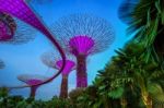 Singapore - Feb 11 , 2017 : Singapore Cityscape At Night In Singapore Stock Photo