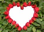 Heart Made Of Red Roses On Stem Stock Photo