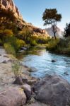 Late Afternoon Virgin River Valley Stock Photo