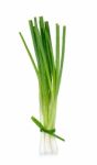 Green Onion Isolated On The White Background Stock Photo