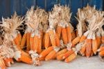 Orange Corn Stock Photo