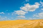 Harvested Field Stock Photo