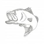 Barramundi Jumping Doodle Art Stock Photo