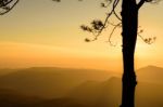 Silhouette Tree With Sunrise Background Stock Photo