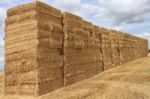 Haystack Stock Photo