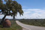 Rural Landscape In Alentejo Stock Photo